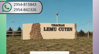 VENTA – TERRENO